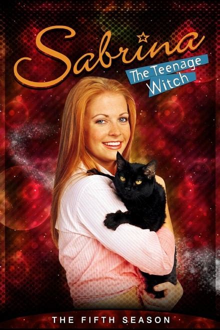 Sabrina The Teenage Witch Tv Series 1996 2003 Posters — The Movie