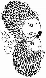 Hedgehogs Kleurplaten Egels Egel Hedgehog Herisson Puercoespin Erizo Animali Igeln Hérisson Erizos Riccio sketch template