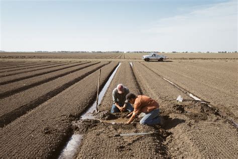 california farmers dig deeper for water sipping their neighbors dry
