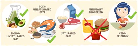 what is fat and the different types of fats [good vs bad]