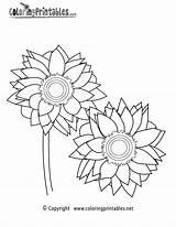 Sunflower Coloring Pages Printable Color Nature Flower Kids Sun Sunflowers Sheets Clipart Drawing Sheet Adults Printables Clip Library Book Getdrawings sketch template