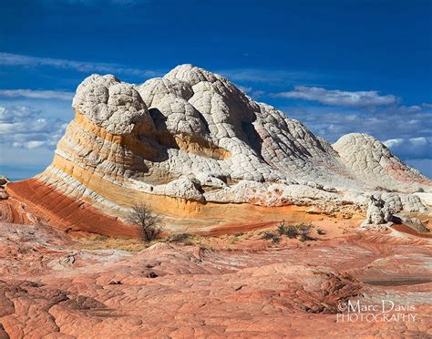 white pocket  gnarled sandstone  arizona unbelievable info