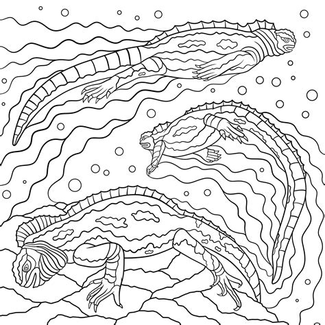 geographic coloring pages coloring pages
