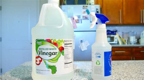 clean  vinegar cnet