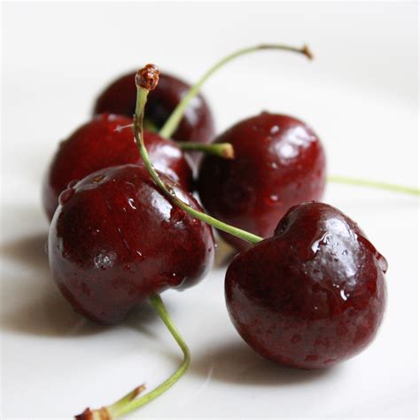 cherries picture  photograph  public domain