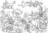 Vogelhochzeit Pflanzen Tiere sketch template