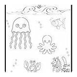 Ocean Coloring Add Sheets Commotion sketch template