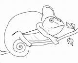 Chameleon Coloring Pages Print sketch template