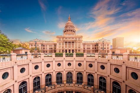 texas secretary  state business entity search tx entity  guide