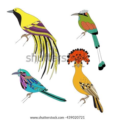 cocrico bird  trinidad  coloring pages