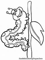 Colouring Chenille Caterpillar Mewarnai Drawing Ulat Colorir Lagarta Insecte Insetos Serangga Stick sketch template