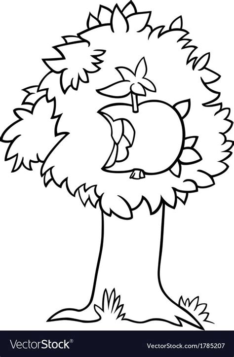 pin    blank pics tree coloring page flower coloring pages