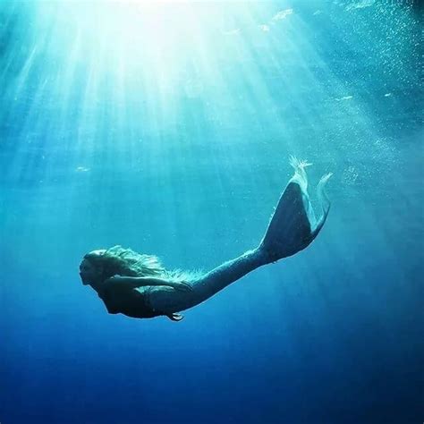 Signs You Re A Mermaid Popsugar Love And Sex