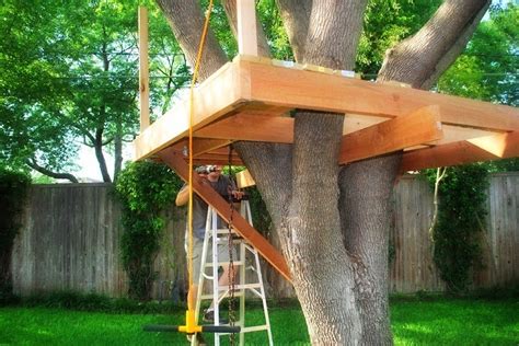 build  tree house ayanahouse