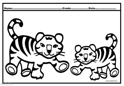 tiger  cub coloring pages  kids