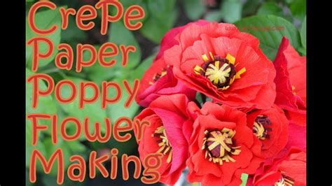 crepe paper poppy flower diy youtube