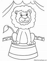Lion Show Coloring Pages sketch template