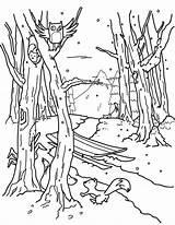 Coloring Forest Winter Pages Colouring Museprintables Color Printable sketch template