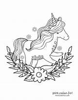 Unicorn Licorne Arc Imprimer Coloriages Unicorno Printcolorfun Heureuse Magico Gratuita Stampabile Definitiva sketch template