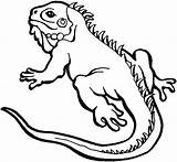 Coloring Lizard Pages Iguana Kids Print Frilled Cute Color Reptiles Lizards Printable Getcolorings Drawings Drawing Getdrawings Colouring Baby Astonishing Monitor sketch template