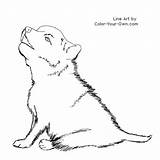 Wolf Puppy Coloring Pages Color Own Pic Back Kids Print Index Line sketch template