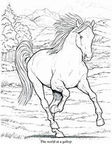 Coloring Pages Horse Horses Running Kids Adults Book Drawing Fun Elderly Older Head Wonderful Fair Easy Detailed Printable State Color sketch template