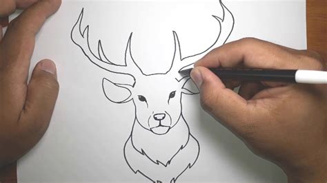 draw easy deer head deer drawing easy deer drawing easy drawings