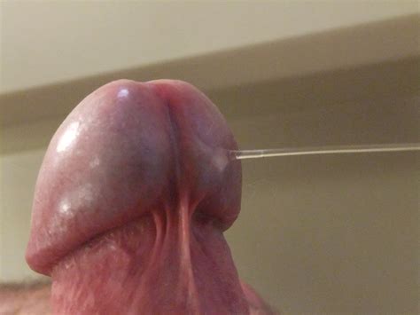 close up cock head