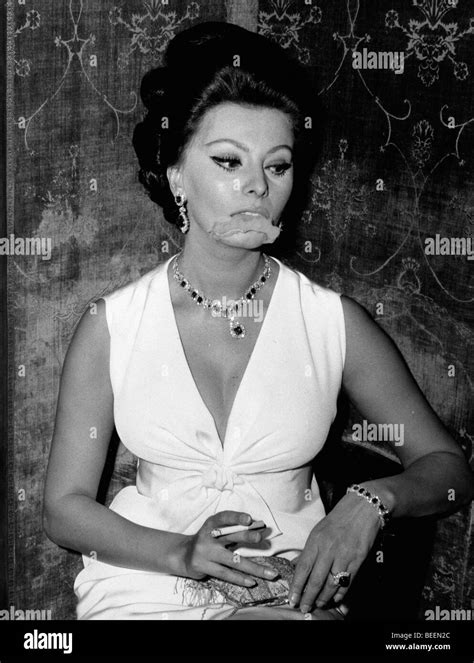Actress Sophia Loren Italy Fotos Und Bildmaterial In Hoher