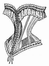 Corset Clipart Vintage Clip Victorian French Fashion Old Drawing Parasol Corsets Sketch Olddesignshop Ad Cliparts Women Antique Clipground Bend 1900s sketch template