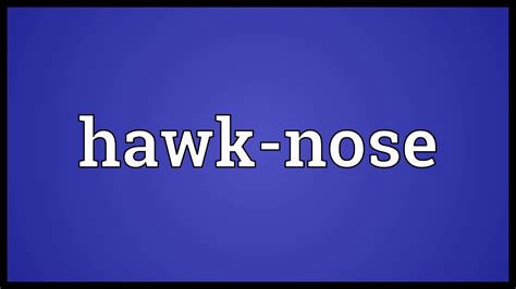 hawk nose meaning wordogram youtube