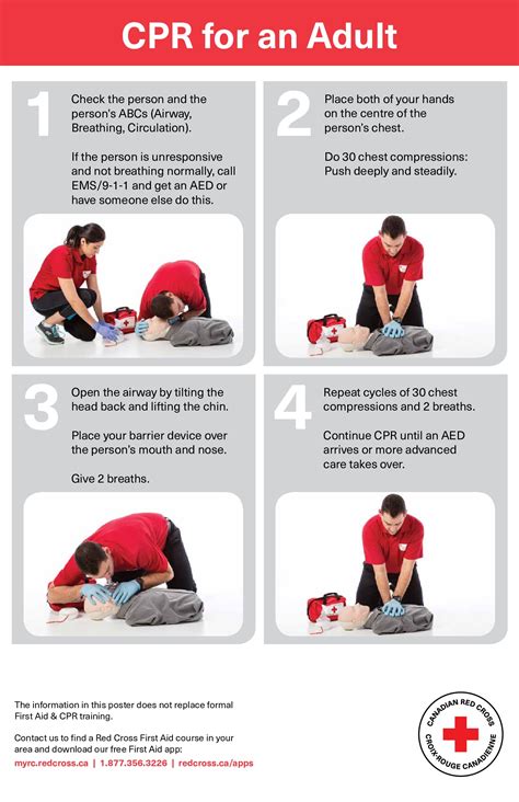 free first aid red cross adult cpr labor law poster 2021