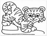 Tiger Coloring Pages Baby Cub Lsu Template Drawing Tigers Colouring Cartoon Preschool Templates Print Printable Auburn Wolf Leopard Head Snow sketch template