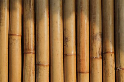 membuat gubuk  bambu ifaworldcupcom