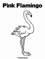 Inkspiredmusings Coloring Flamingos sketch template