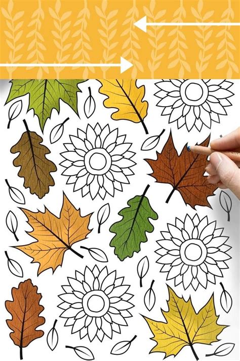 fall coloring pages  kids printable autumn coloring etsy video