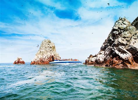 paracas ballestas islands  peru discovery tours