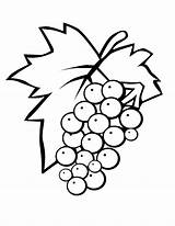Grapes Grape Clipart Coloring Drawing Cliparts Eps Popular Printable Library sketch template