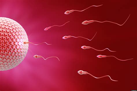 fertilidad masculina menor calidad reproductiva en hombres mayores de 35