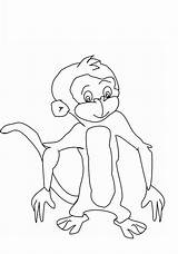 Monkey Coloring Pages Printable Kids Monkeys Toddlers Colouring Sheets Print Animal Bestcoloringpagesforkids Source Choose Board sketch template