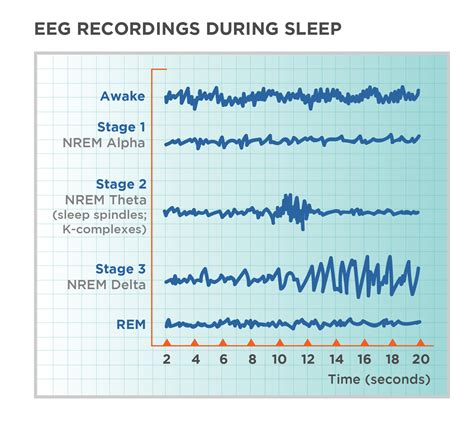 rem sleep definition examples  forms