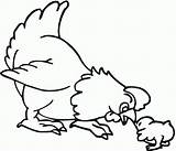 Chicken Coloring Clipart Animals Corn Library Colouring Pages sketch template