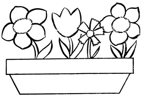 flower pot coloring page clipart