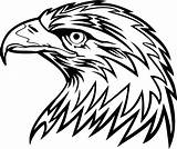 Eagle Drawing Coloring Head Getdrawings sketch template