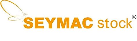 seymac stock case  ipad ththth generation  full bodyshock proof