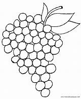 Uvas Frutos Verano Otoño Vendimia Aula Mis Otono Estaciones Seleccionar Fruta sketch template