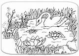 Mewarnai Angsa Bebek Mewarna Kartun Buku Atas Comel Gajah Hewan Lukisan Warna sketch template
