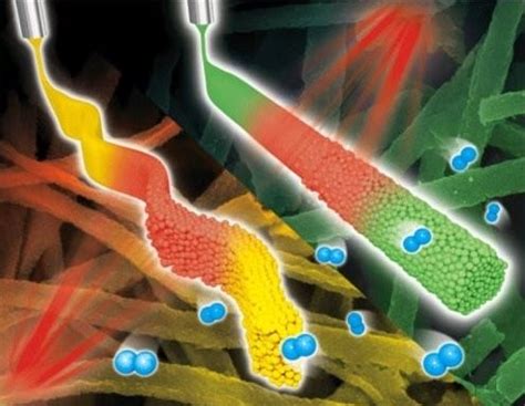 advances  electrospun functional nanofibers advanced science news