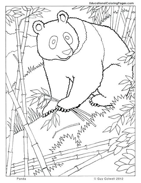 forest animals coloring pages  getcoloringscom  printable