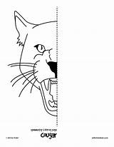 Symmetry Drawing Symmetrical Coloring Pages Worksheets Half Worksheet Cougar Kids Face Tessellation Printable Sheets Hub Cat Color Google Activities Getdrawings sketch template